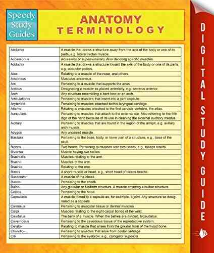Anatomy Terminology Anton Chekhov