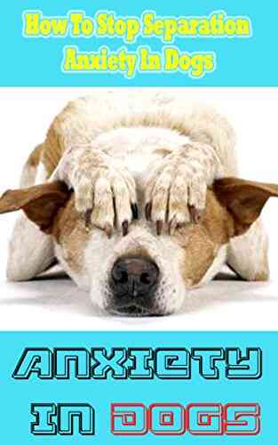 Anxiety In Dogs: How To Stop Separation Anxiety In Dogs