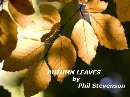 AUTUMN LEAVES A Short Story Thriller