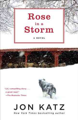 Rose In A Storm: A Novel