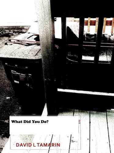 What Did You Do? David L Tamarin