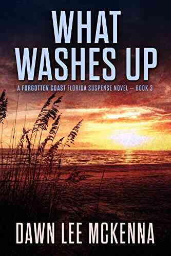 What Washes Up (The Forgotten Coast Florida Suspense 3)