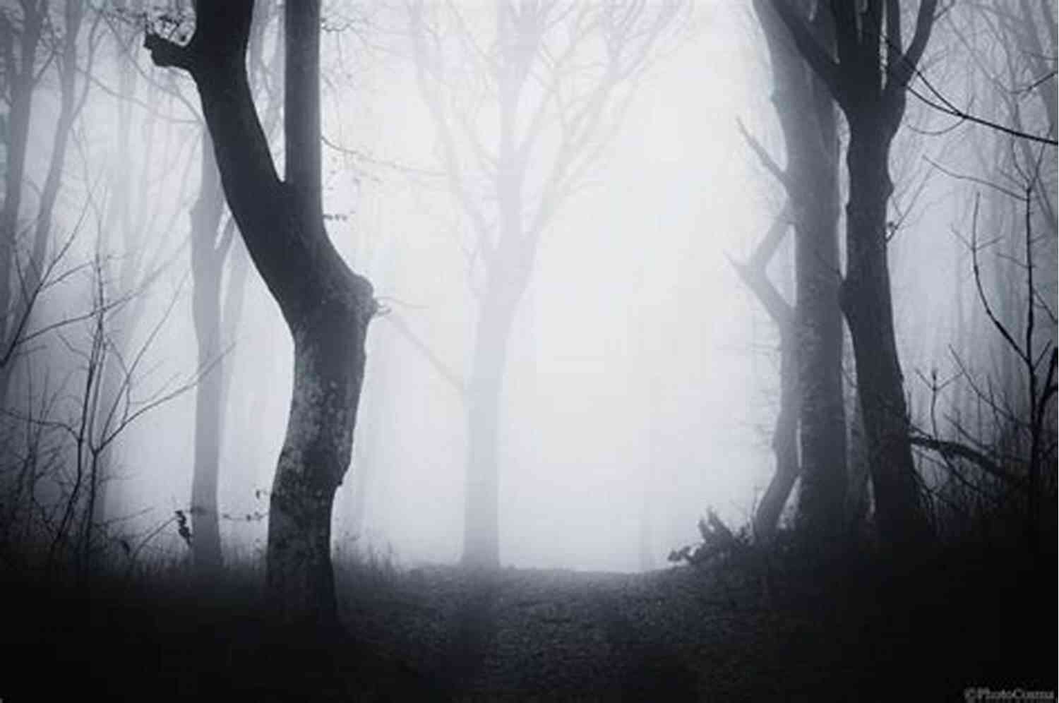 A Dark And Mysterious Mansion Engulfed In Eerie Atmosphere The Fall Of The House Of Usher
