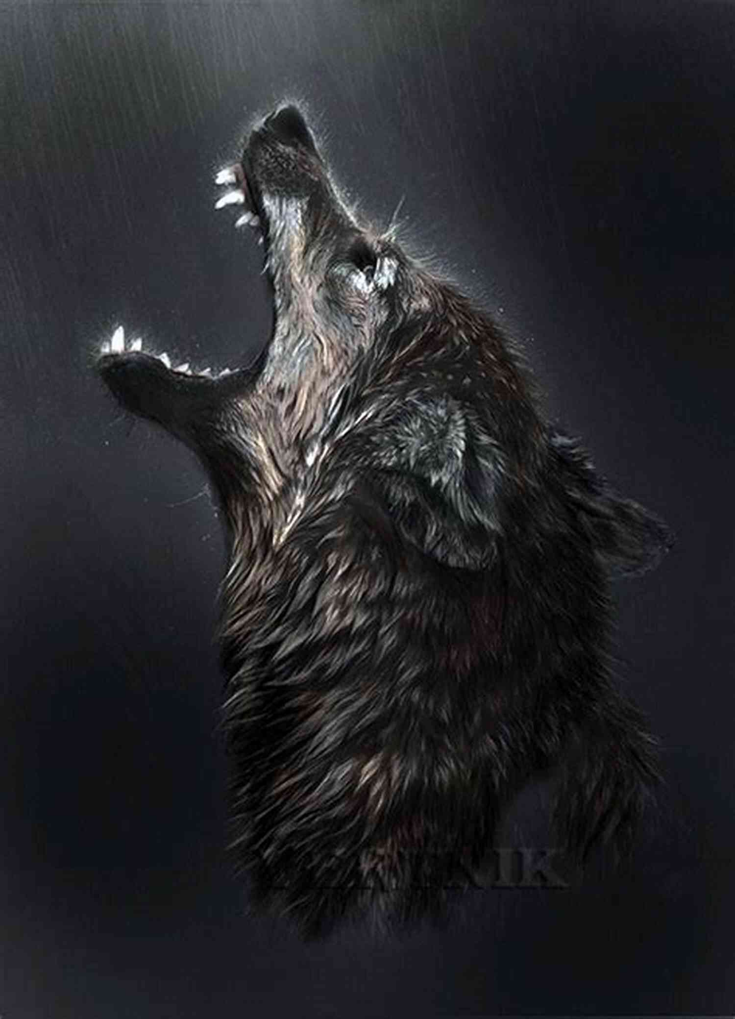 A Ferocious Wolf Leading The Pack Power Grab (Wolf Harbor 3)