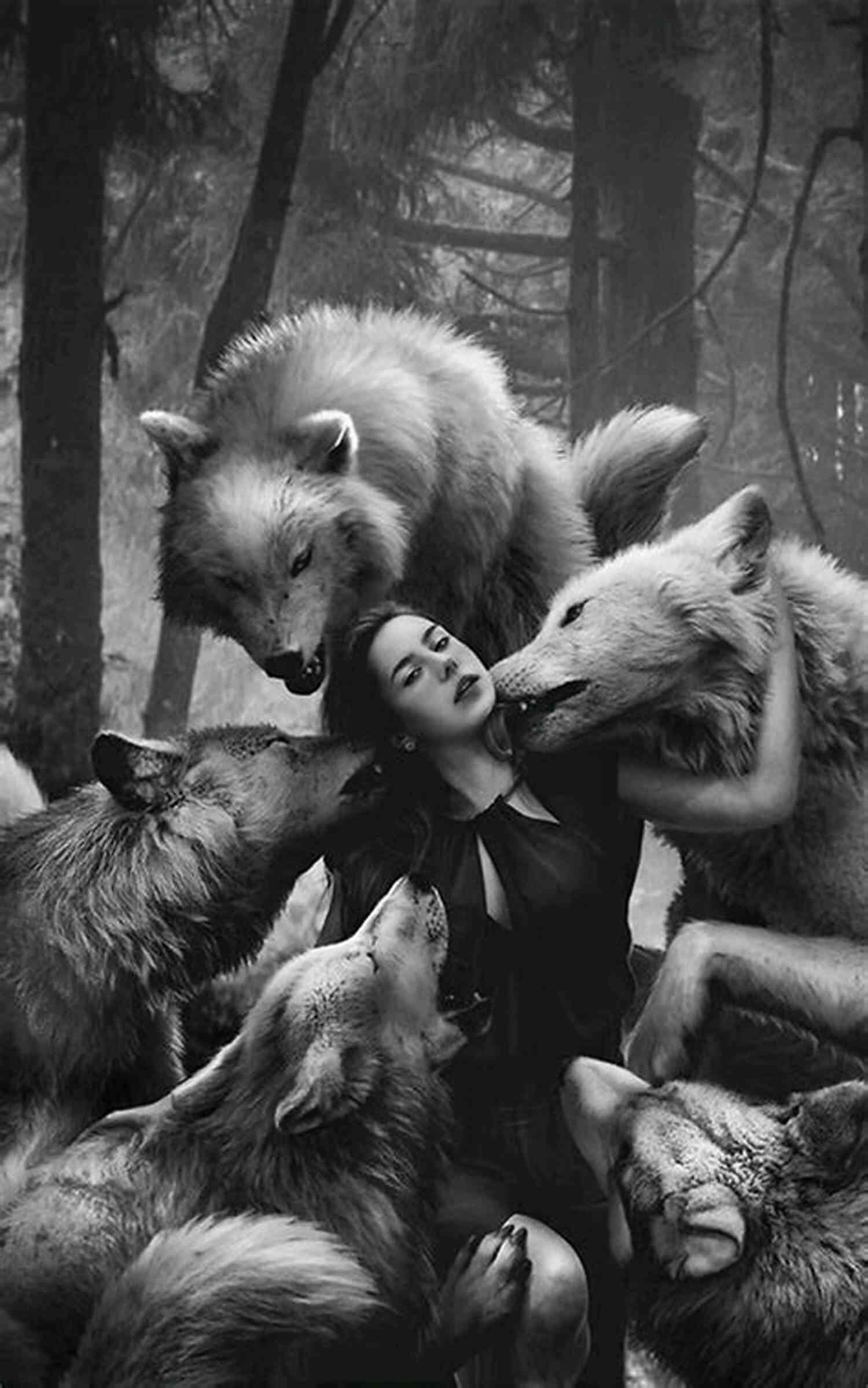 Alpha Female Wolf Harbor Leading Her Pack In The Wilderness Alpha Female (Wolf Harbor 1)