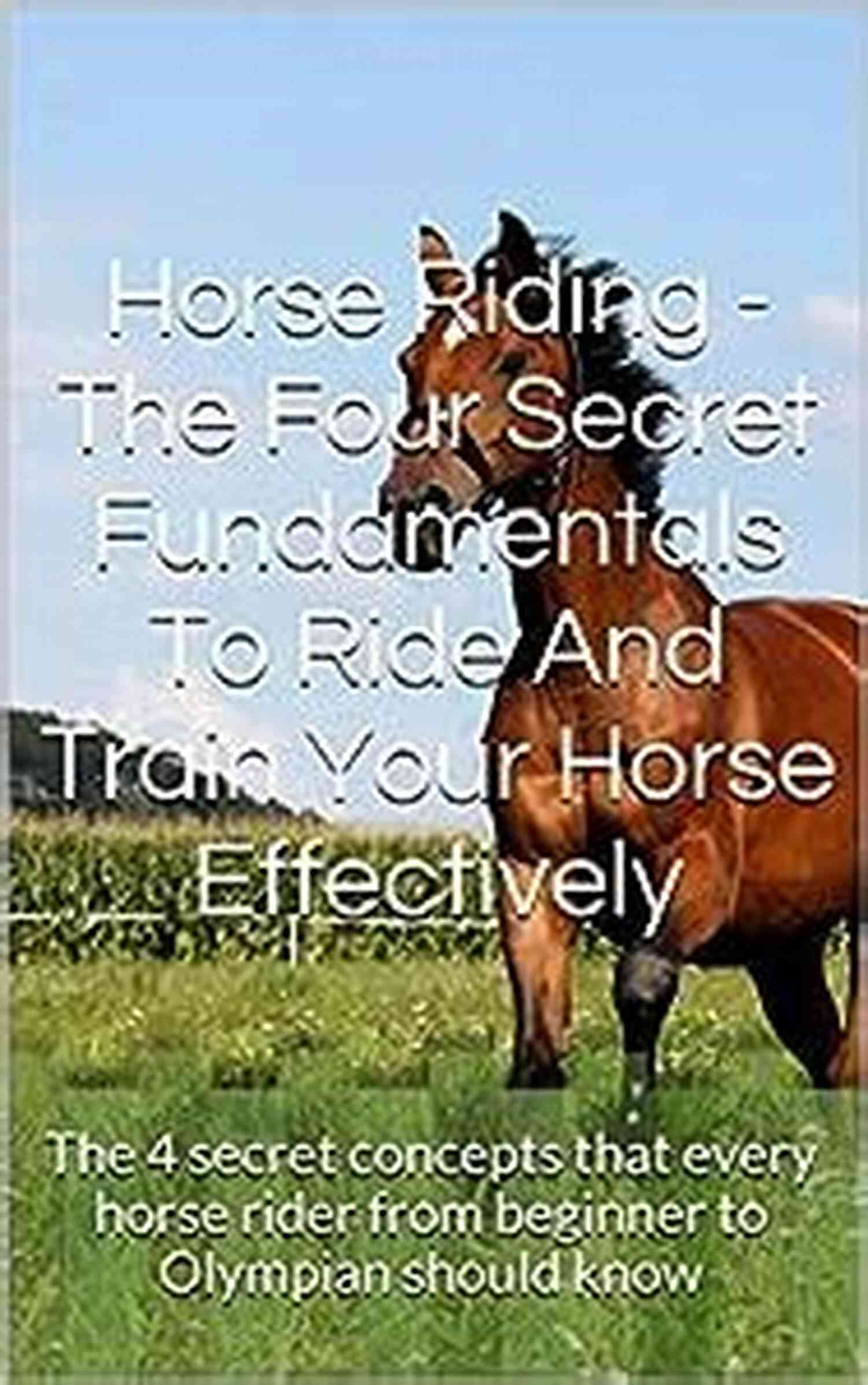Consistency And Patience Horse Riding The Four Secret Fundamentals To Ride And Train Your Horse Effectively: The 4 Secret Concepts That Every Horse Rider From Beginner To Olympian Should Know