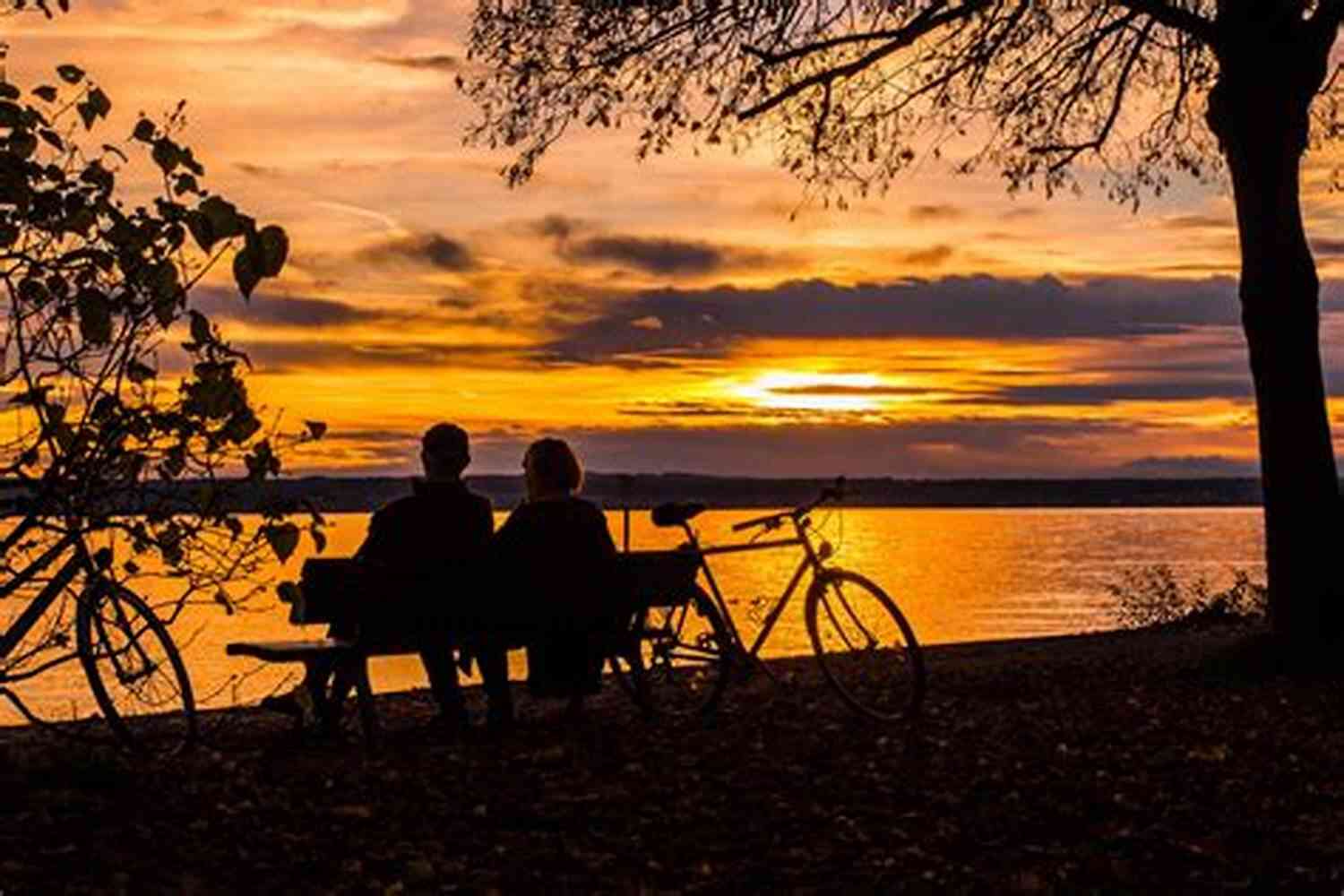 Couple Watching A Beautiful Sunset Together Stay No Go: A Story Of Love And Loss