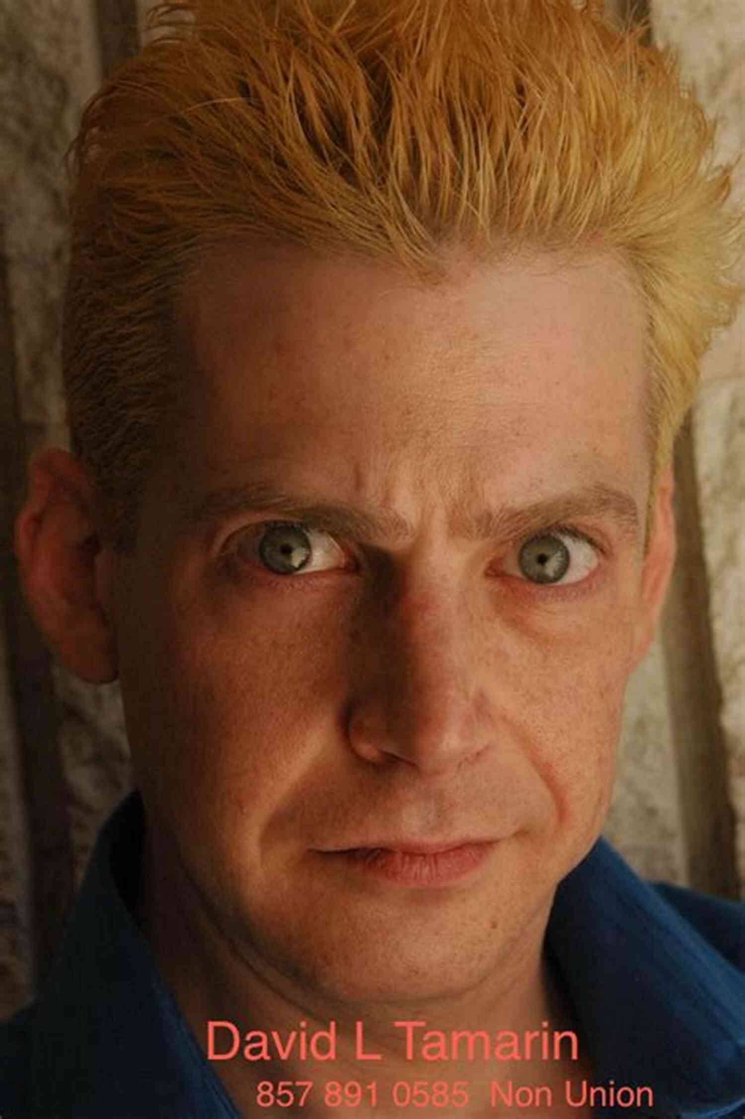 David Tamarin The Mysterious Inventor What Did You Do? David L Tamarin