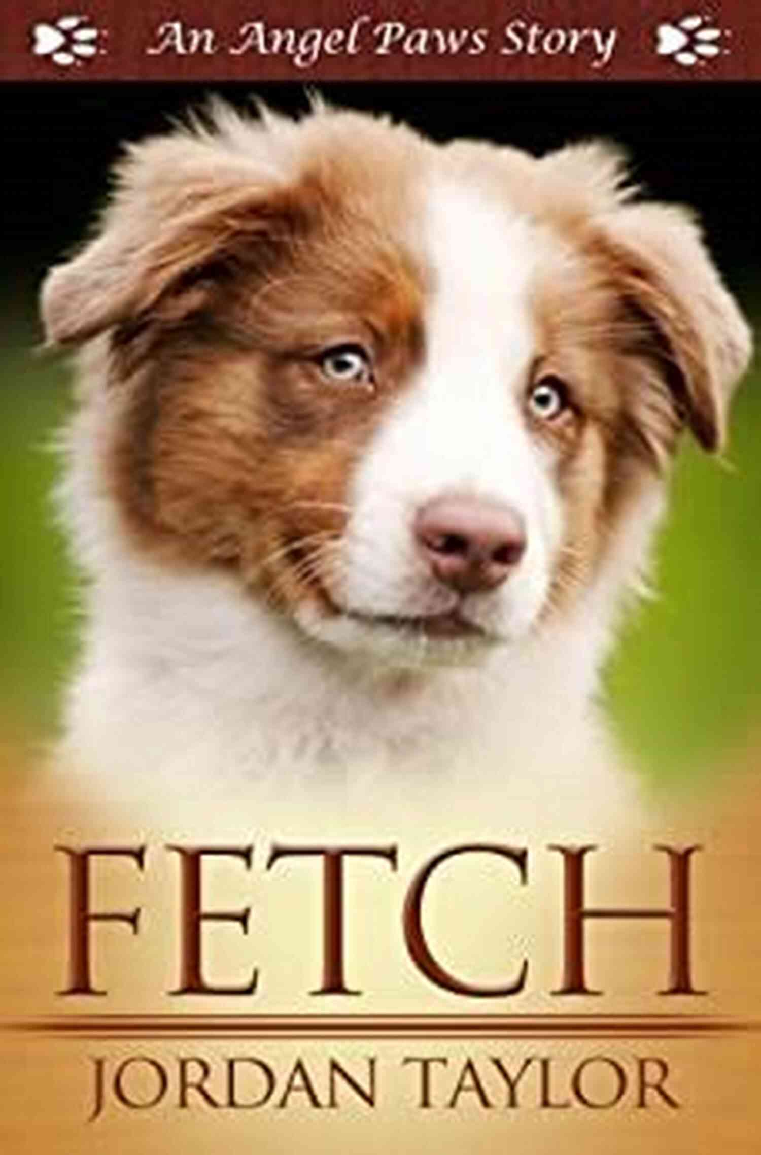 Fetch Angel Paws Jordan Taylor Fetch (Angel Paws) Jordan Taylor