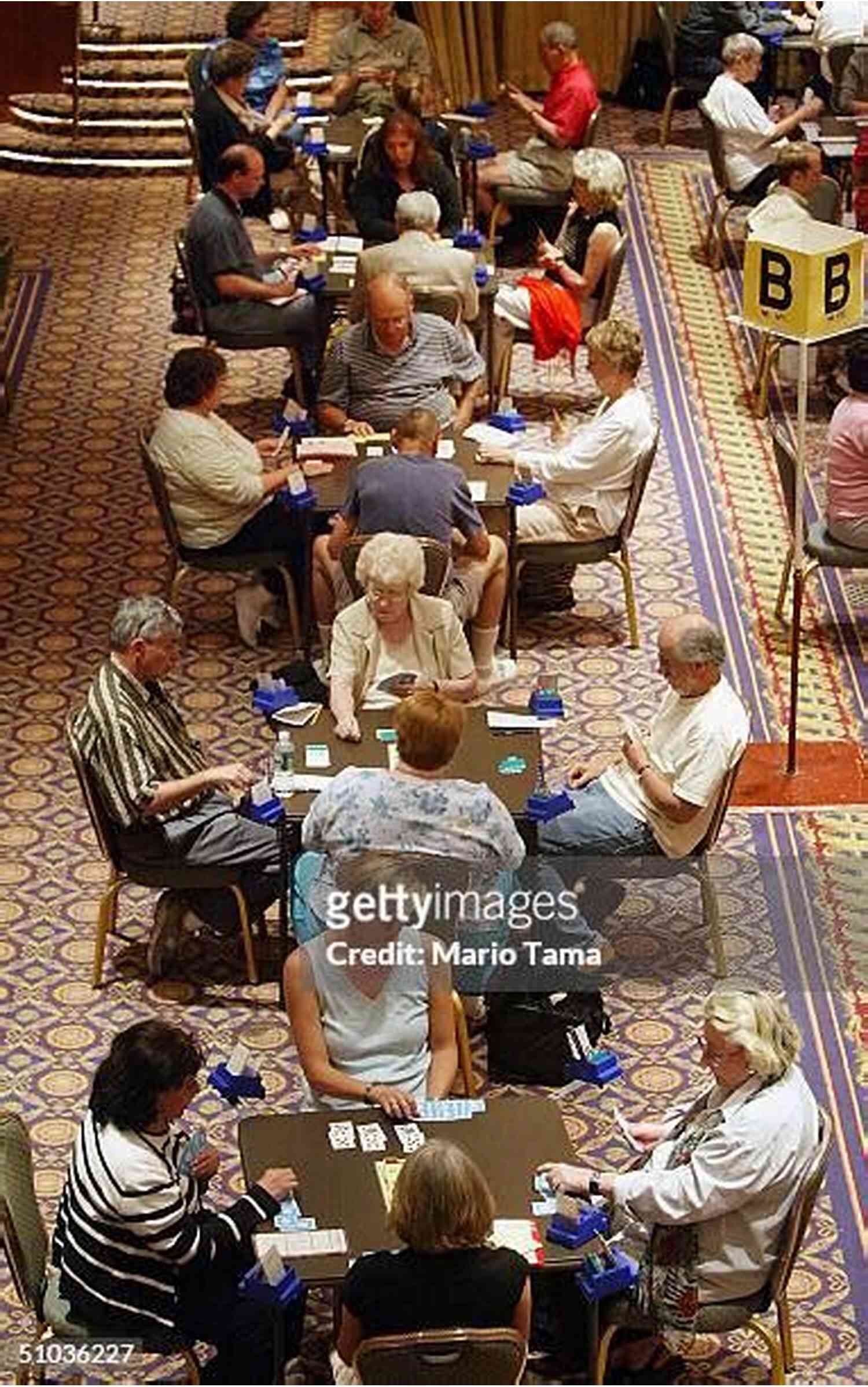 Group Of Bridge Enthusiasts Enjoying Competition Gephyromania Nicola Aliani