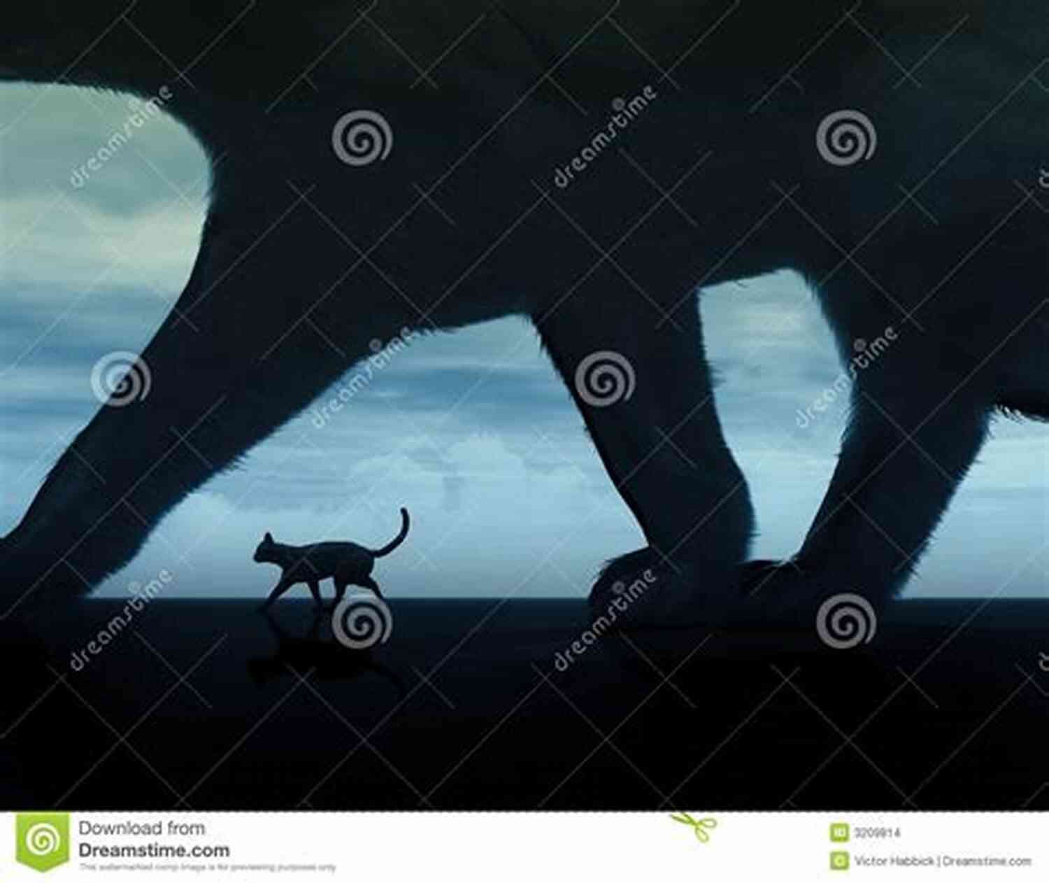 Illustration Depicting The Black Cat Creeping In The Shadows The Black Cat Illustrated Edition