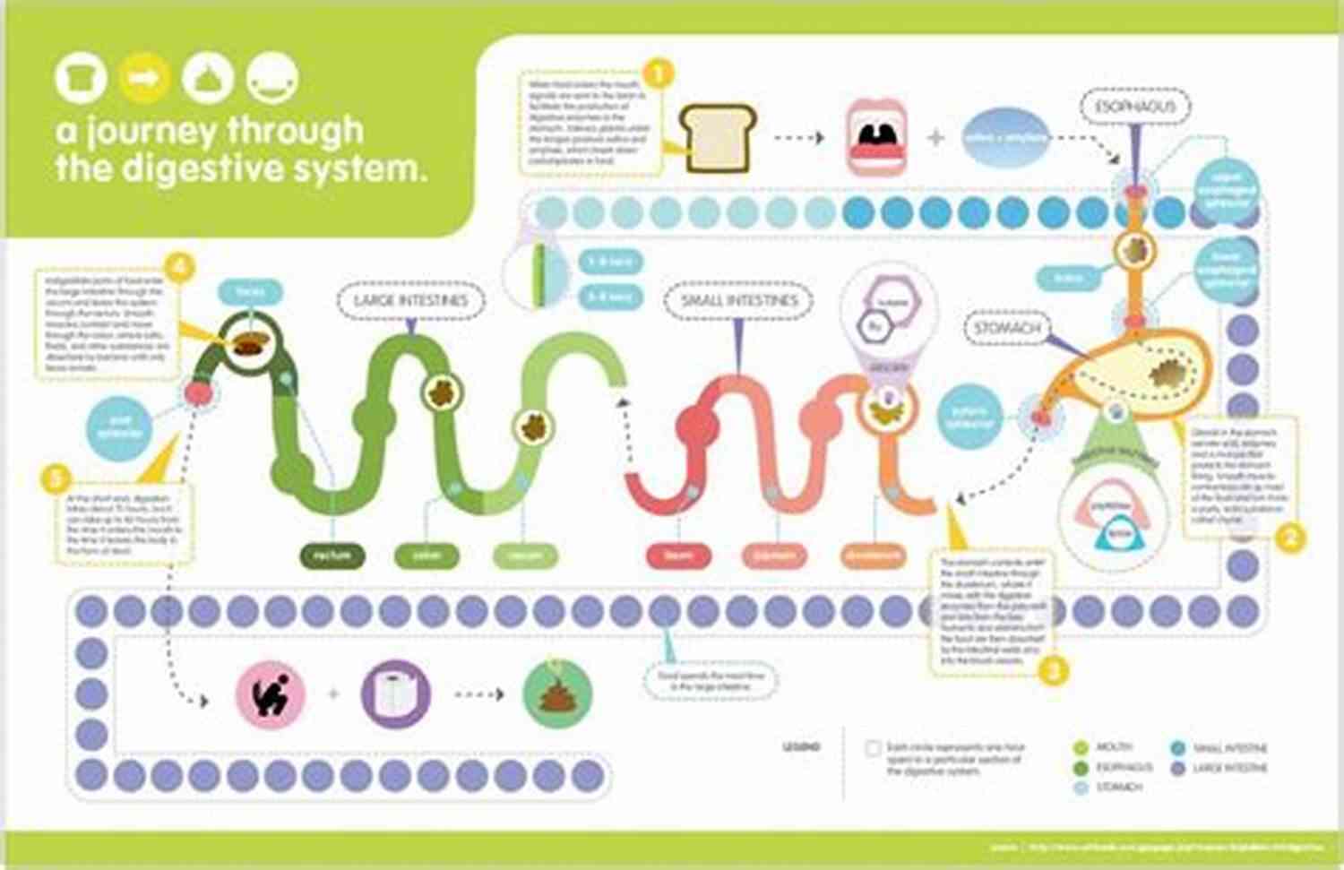 Keyword: Gut Hack Digestive Health Journey: Lifestyle Adjustments The Gut Hack: A Digestive Health Journey