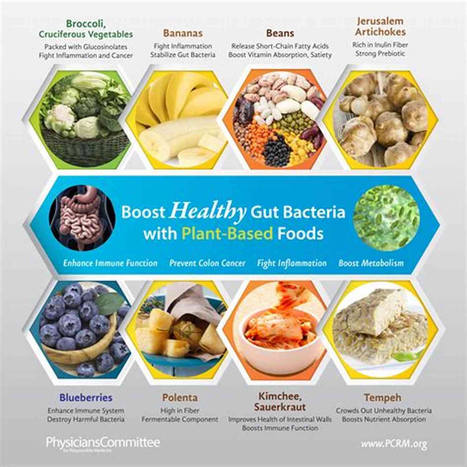 Keyword: Gut Hack Digestive Health Journey: Nourishment For Your Gut The Gut Hack: A Digestive Health Journey