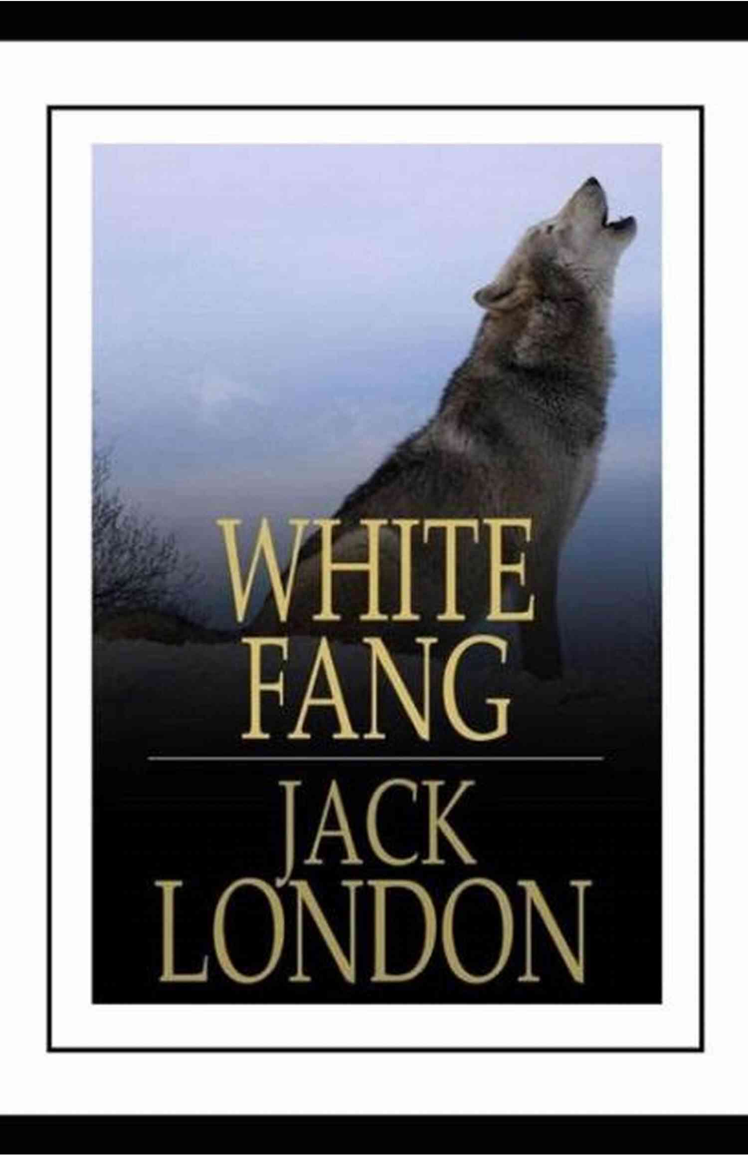 Purchase White Fang Now White Fang: With Original Illustration