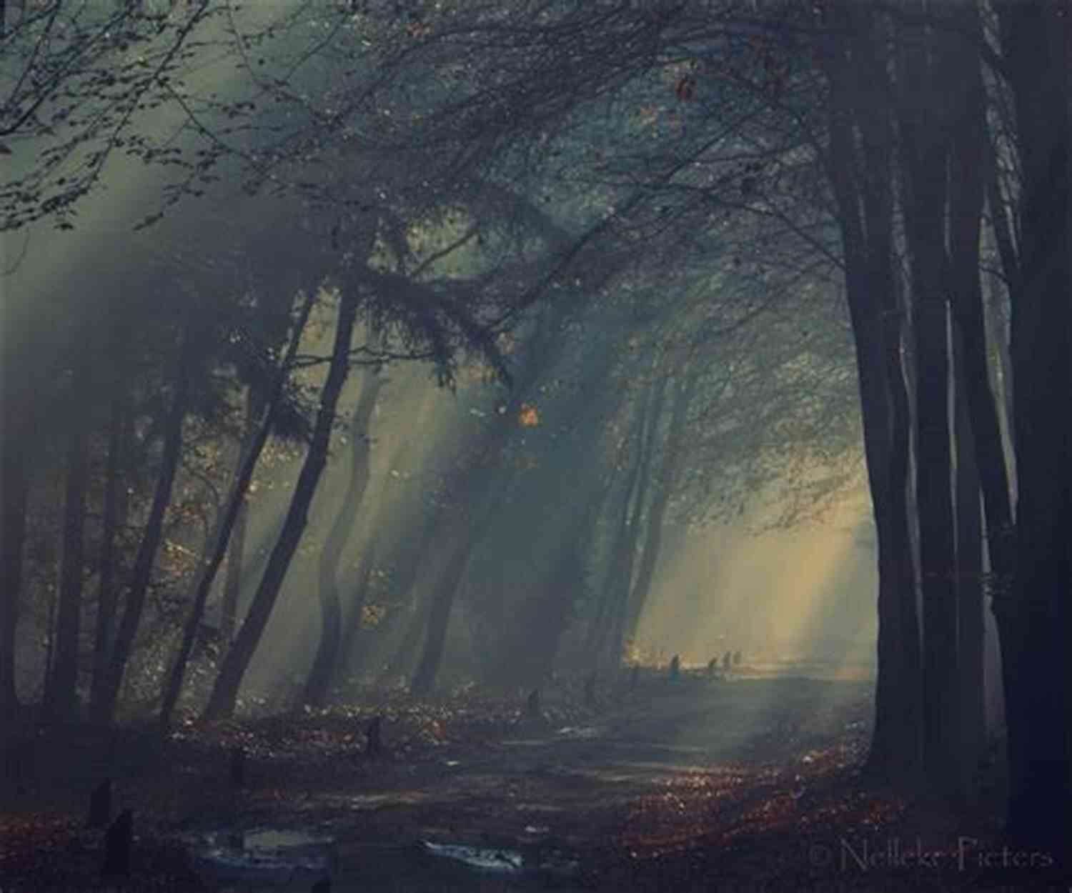 Shadowy Forest Shadows Of The Past: A Supernatural Suspense Mystery (Shadow Slayers Stories 1)