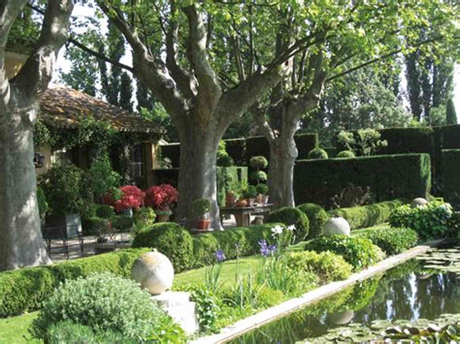 The Enchanting Landscape Of Provence Hotel Pastis: A Novel Of Provence
