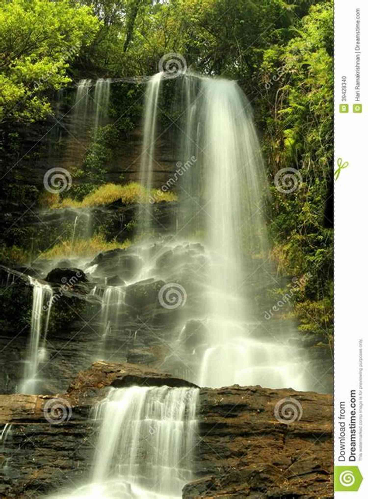 The Spring Roy Comrie Discover The Serene Beauty Of This Enchanting Waterfall The Spring Roy Comrie