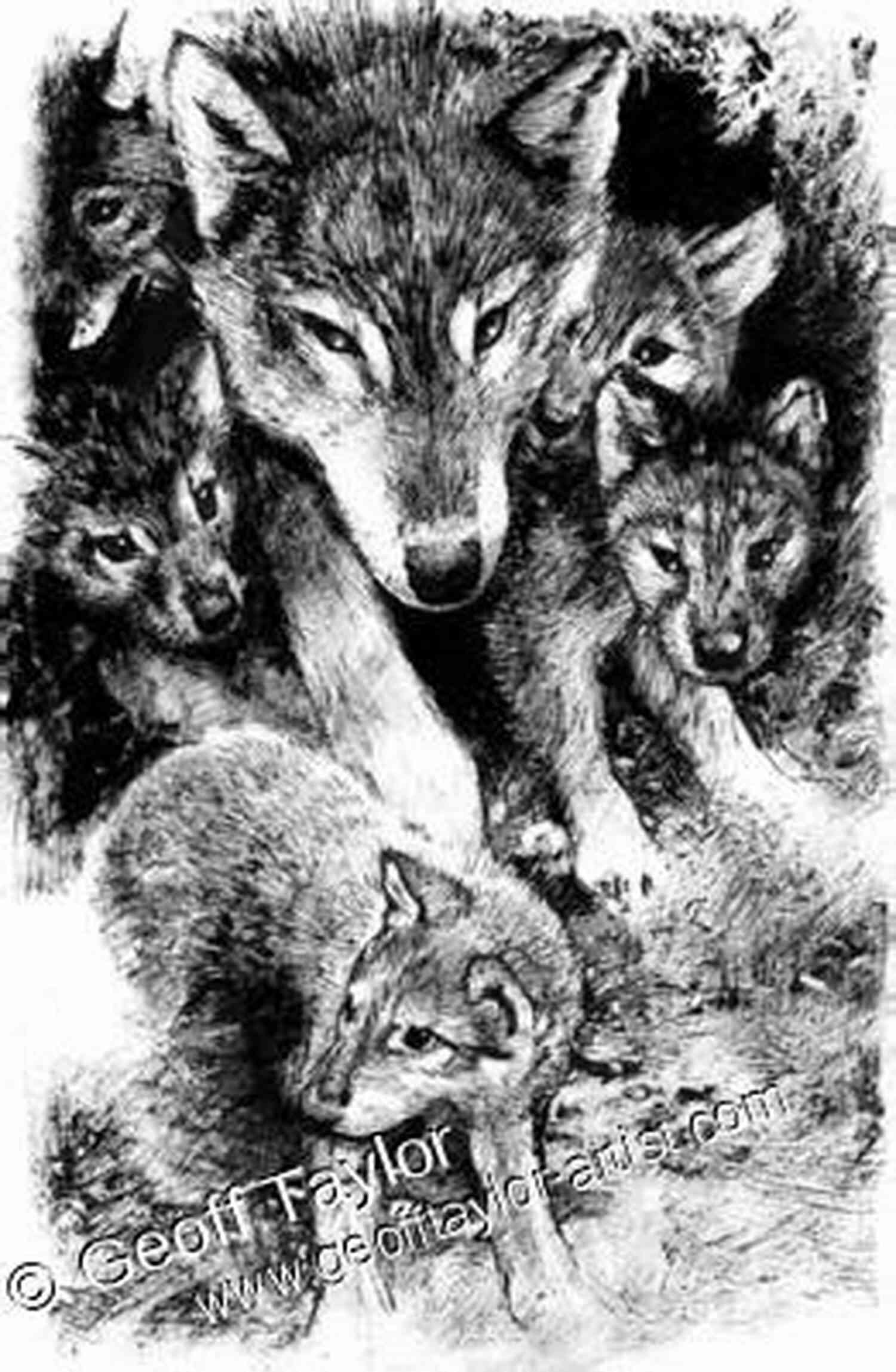 White Fang Original Illustration White Fang: With Original Illustration