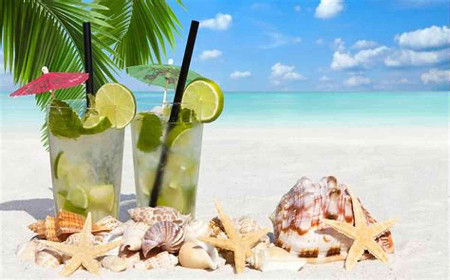 Young Partygoers In Tropical Paradise Enjoying Drinks Under Palm Trees Meet The Drunks: The Misadventures Of A Drunk In Paradise: 5