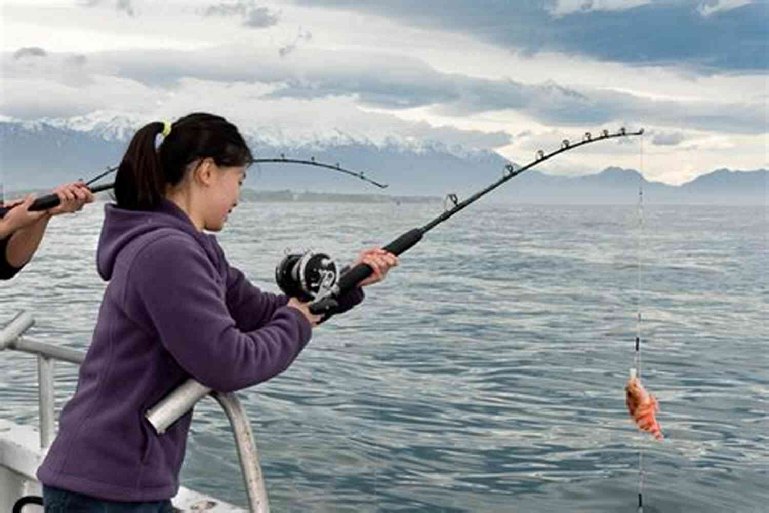 Encountering Marine Life During A Fishing Trip Slappy S Fishing Charter: A Story Of Love Lobstering And Sport Fishing Off The Mid Coast Of Maine