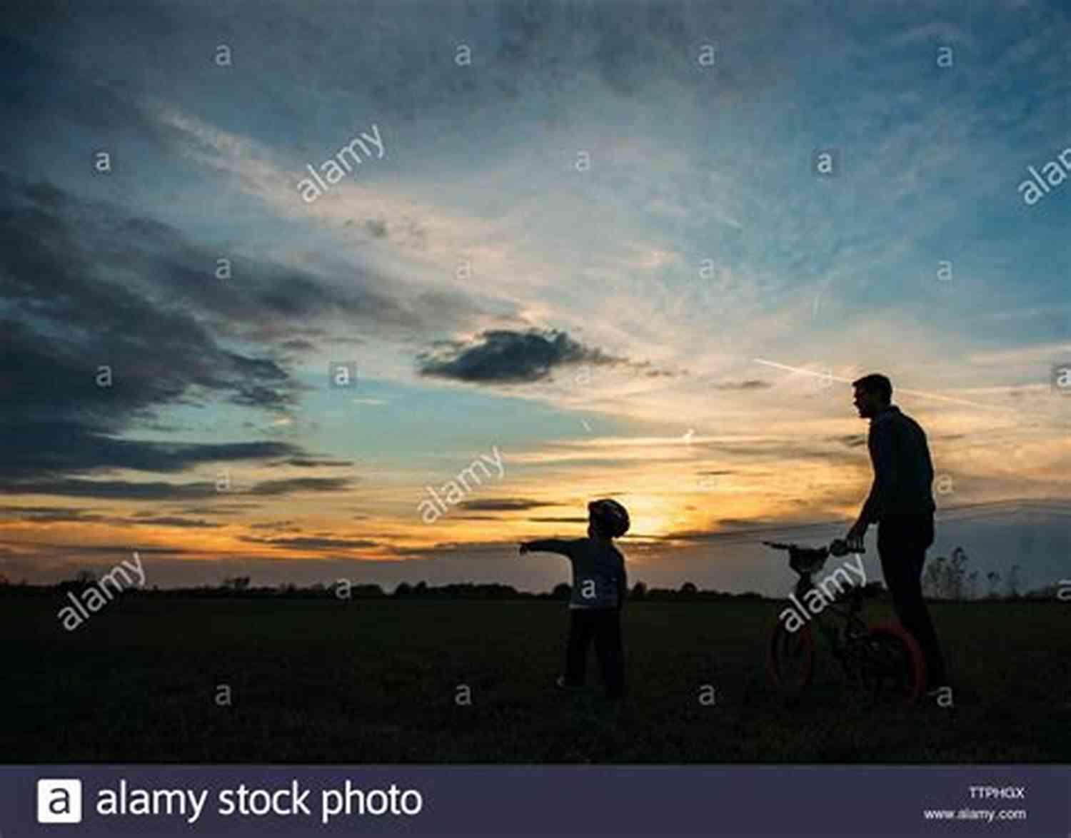 Father And Son Walking In A Sunset Drenched Field That Ll Be Your Father: The Adventures Of Having An Embarrassing Dad