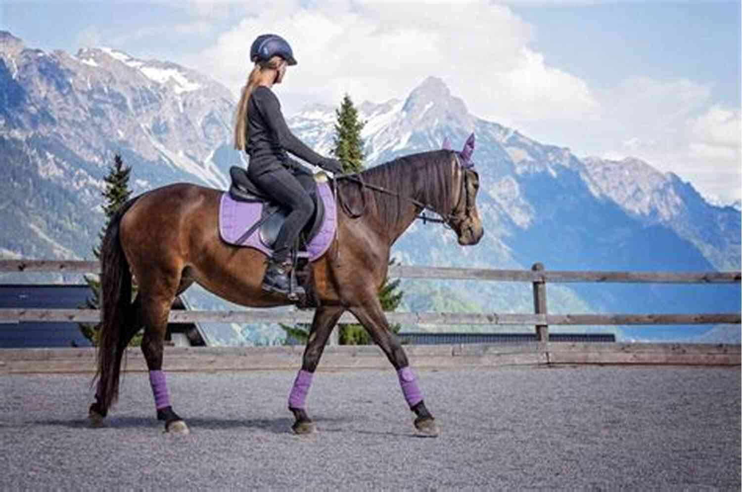 Mastering Proper Riding Techniques Horse Riding The Four Secret Fundamentals To Ride And Train Your Horse Effectively: The 4 Secret Concepts That Every Horse Rider From Beginner To Olympian Should Know